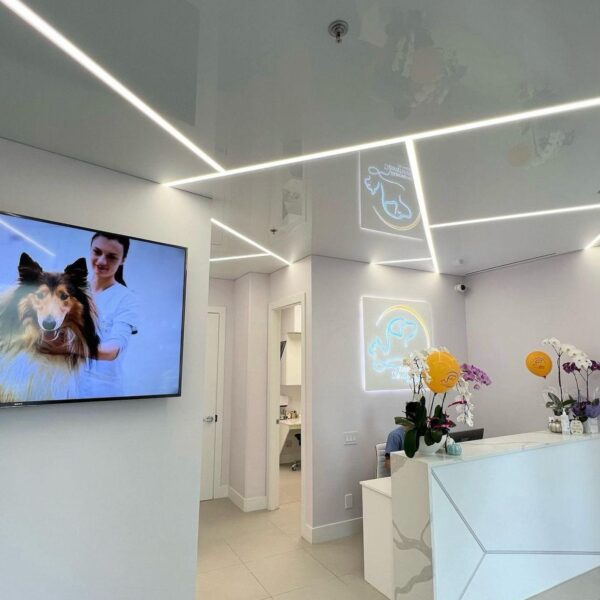 Stretch Ceilings/Elastic ceilings.